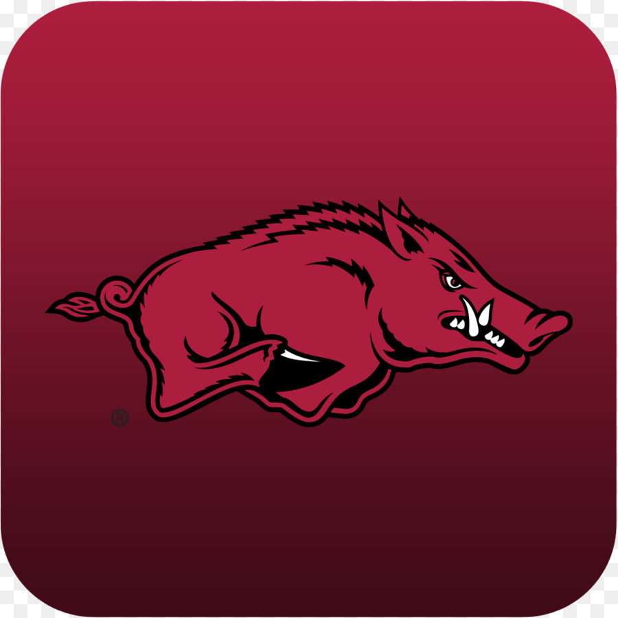 Arkansas Razorbacks De Football，Aréna De Bud Walton PNG