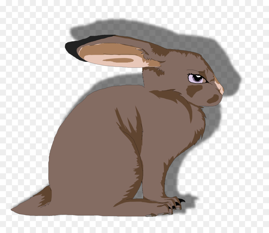 Lièvre，Lapin PNG