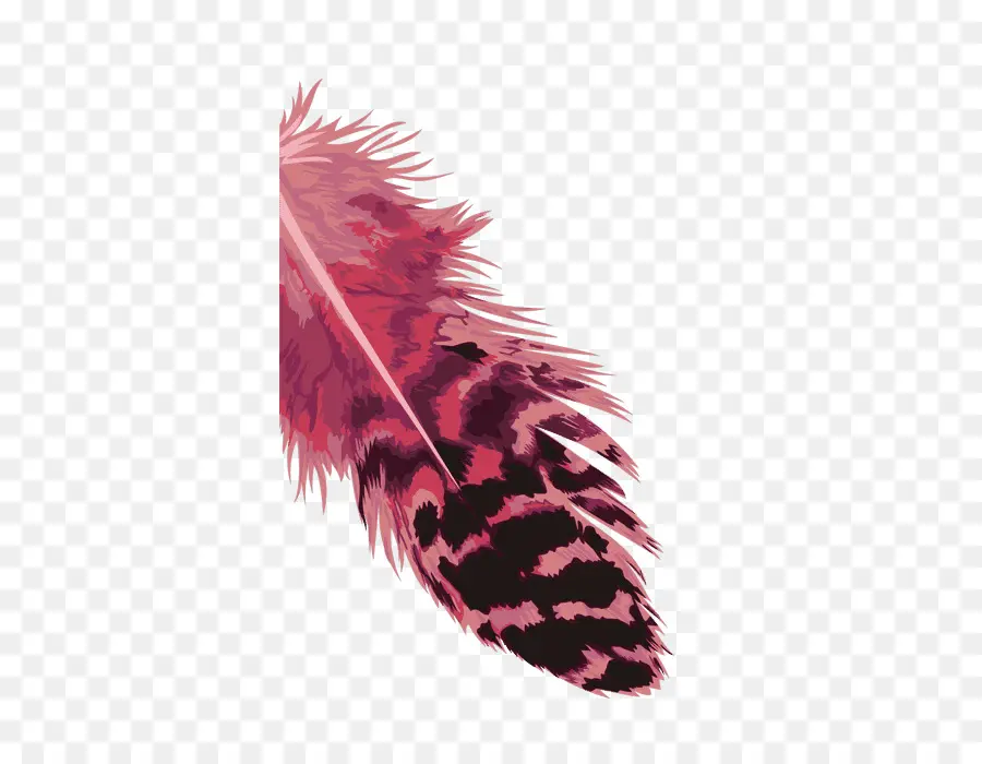 Plume，Rose PNG