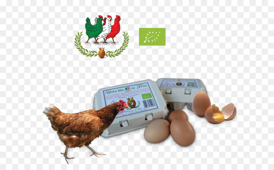 Poulet，Oeuf PNG