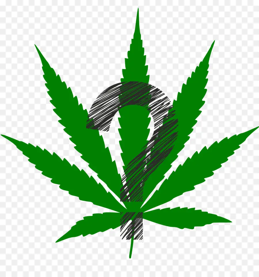 Cannabis，Chanvre PNG