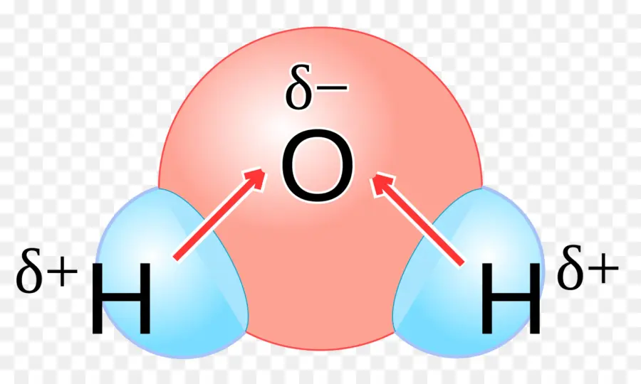 Molécule D'eau，H2o PNG