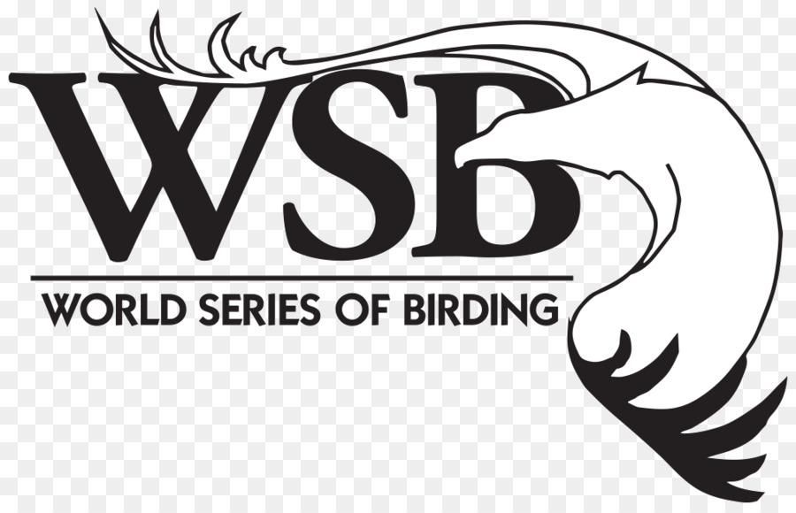 Série Du Monde De L Ornithologie，Série Mlb World PNG