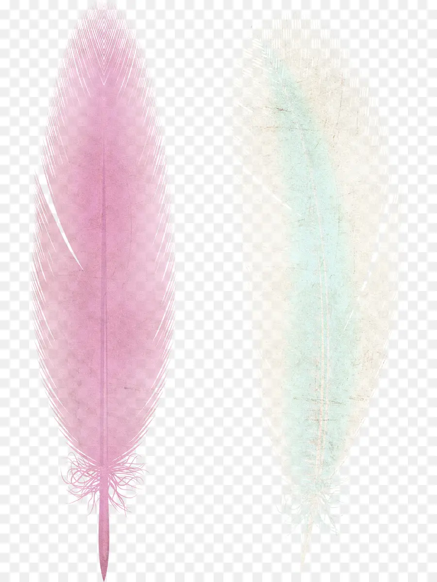 Plumes Colorées，Doux PNG