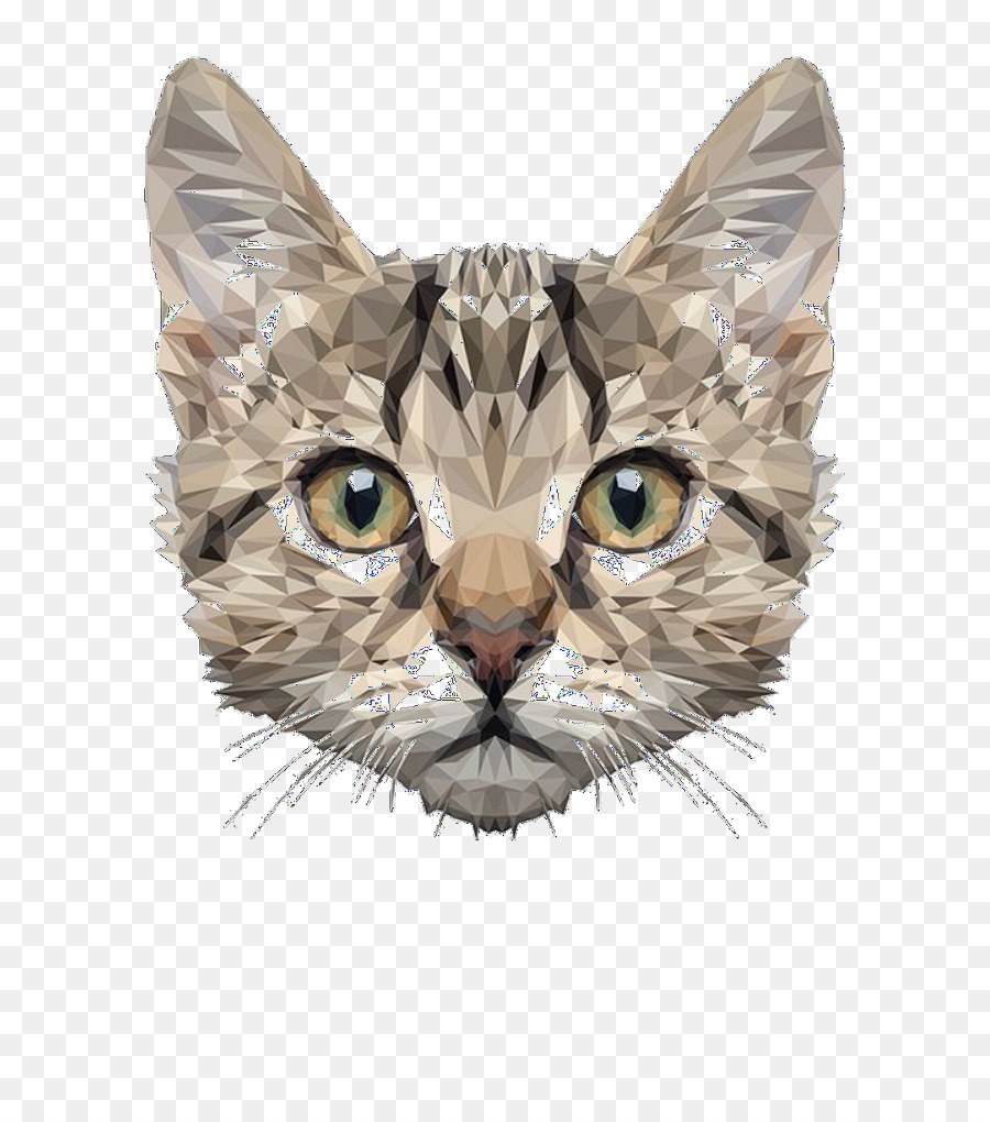 Maine Coon，Chien PNG