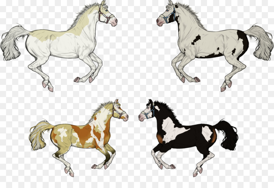 Chevaux，Cheval PNG