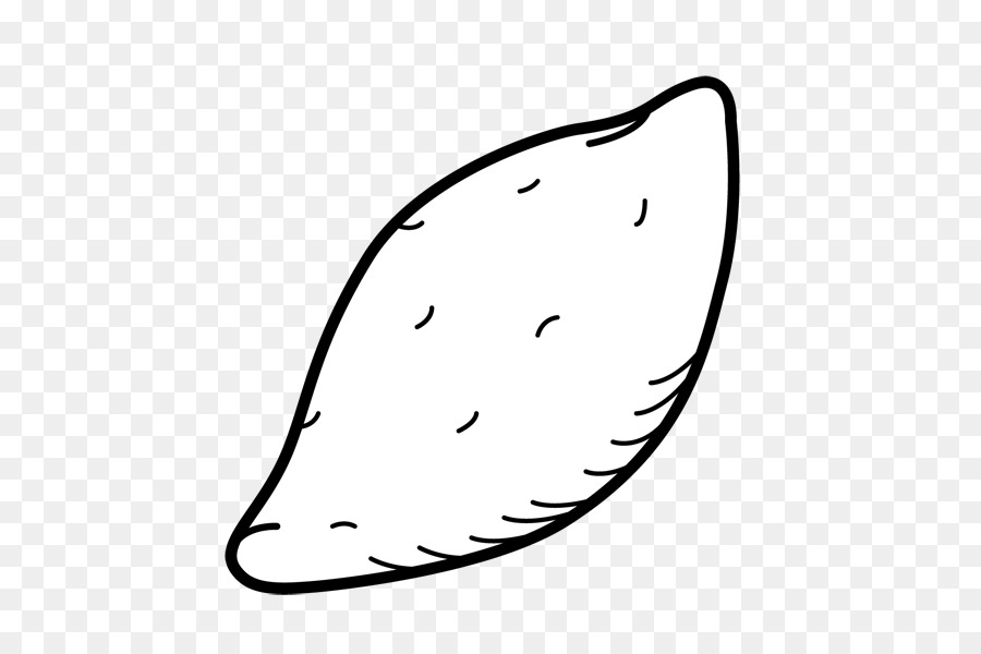 Blanc，Feuille PNG