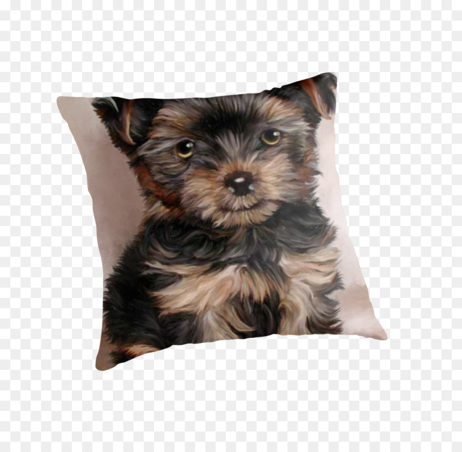 Le Yorkshire Terrier，Morkie PNG