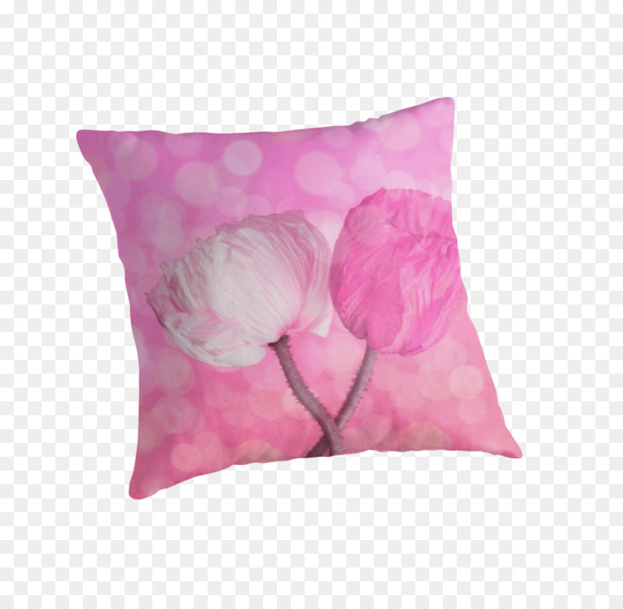 Les Coussins，Coussin PNG