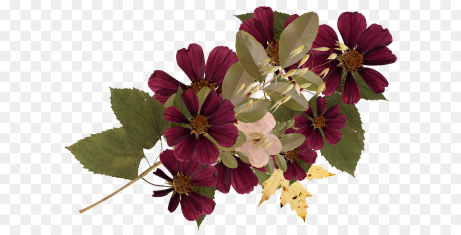 Fleurs Violettes，Feuilles PNG