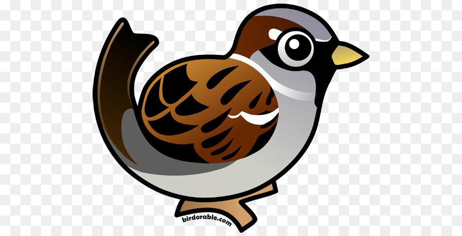 Oiseau De Dessin Animé，Oiseau PNG