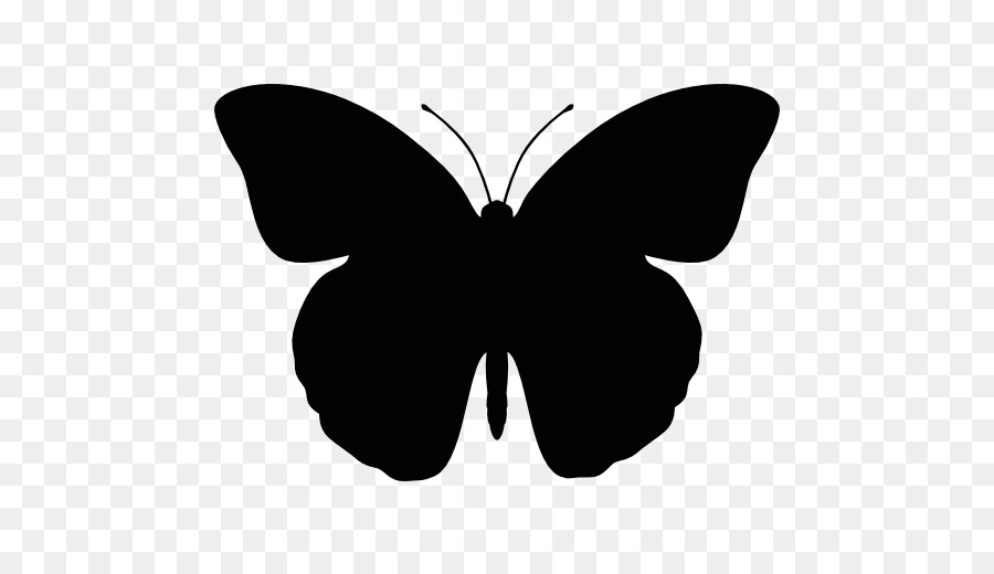 Papillon Noir，Insecte PNG