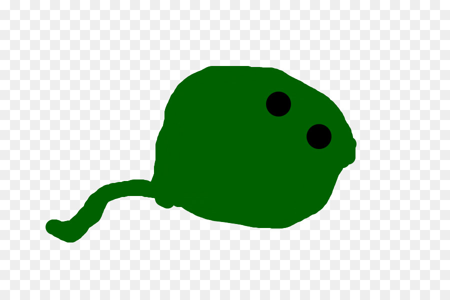 Grenouille，Feuille PNG
