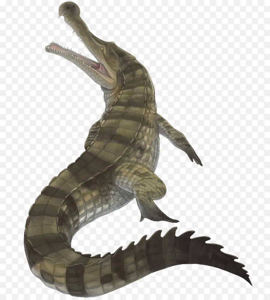 Crocodile，Sarcosuchus PNG