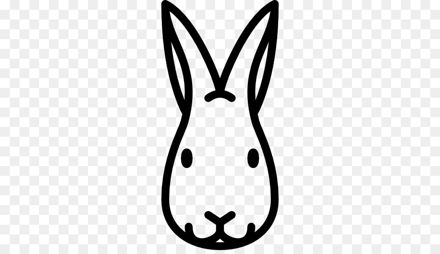 Visage De Lapin，Lapin PNG