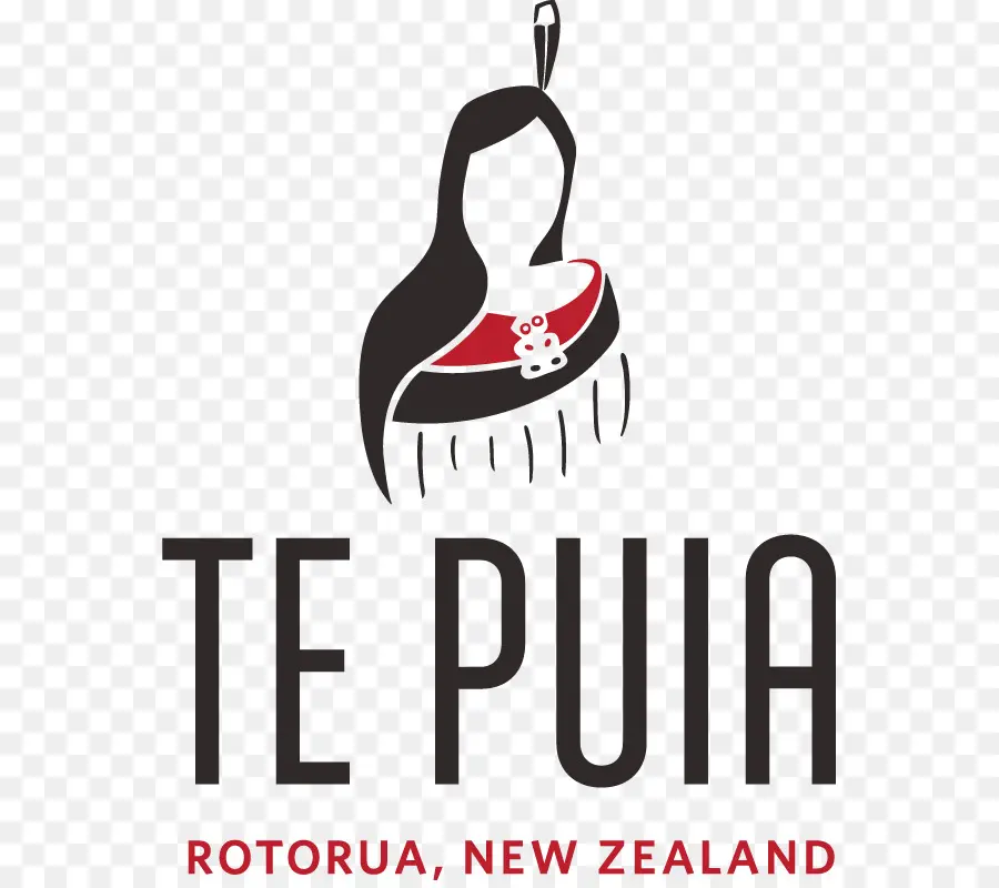 La Nouvelle Zélande Maori Arts Et De L Artisanat De L Institut，Geyser Pohutu PNG