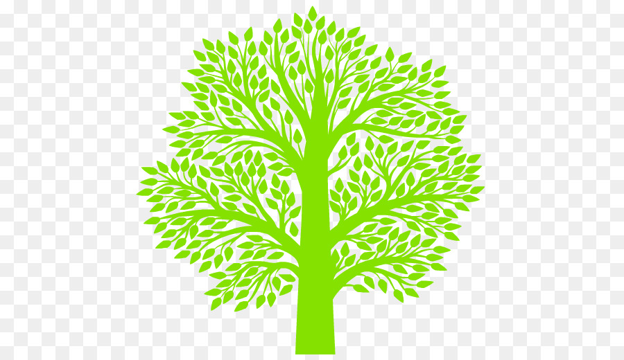 Arbre，Feuilles PNG