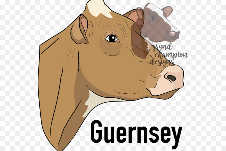 Vache De Guernesey，Bétail PNG