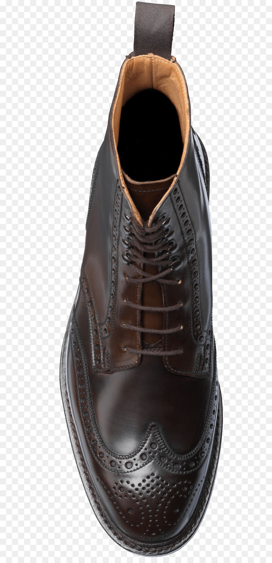 Shell Cordovan，Chaussure PNG