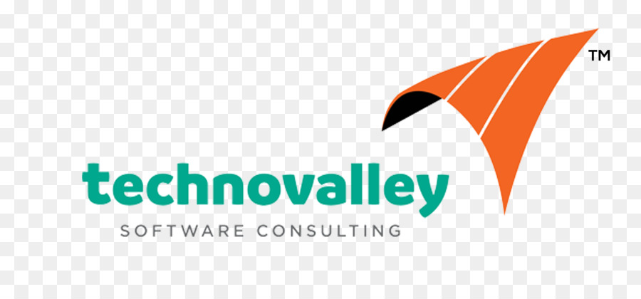 Technovalley Logiciel India Private Limited，La Technologie De L Information PNG