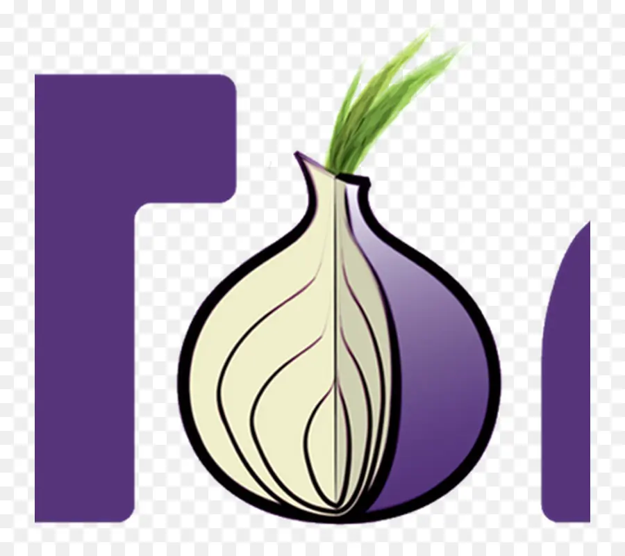Tor，L Oignon PNG