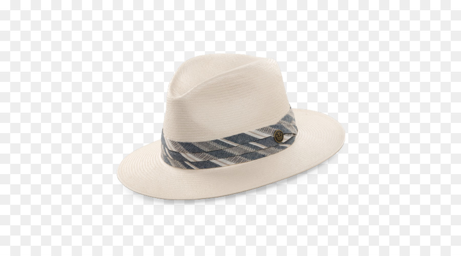 Chapeau Fedora，Brun PNG