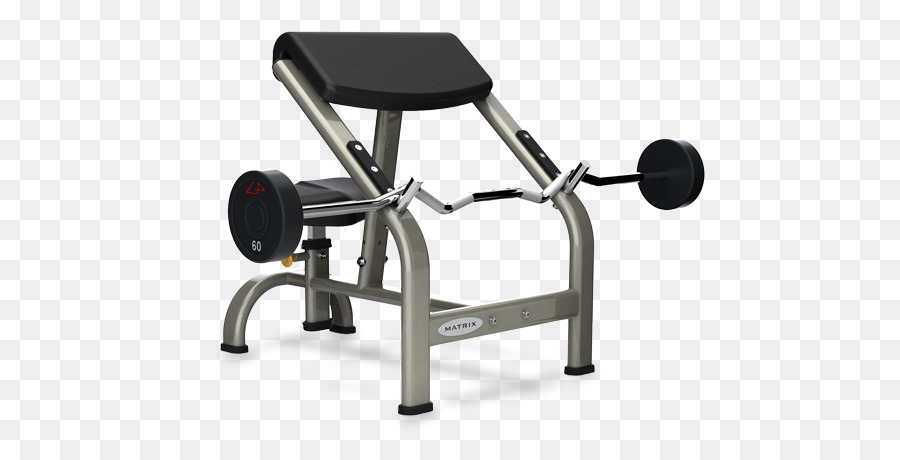 Banc，Biceps Curl PNG