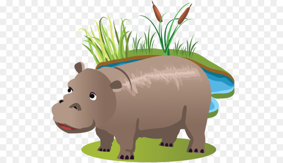 Hippopotame，Eau PNG