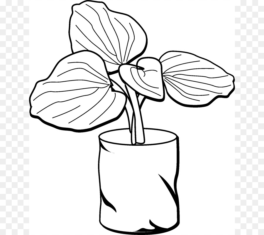 Design Floral，Les Fleurs Coupées PNG