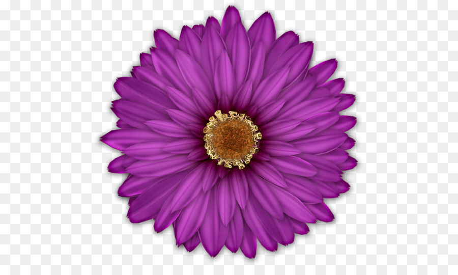 Fleur Violette，Fleurir PNG