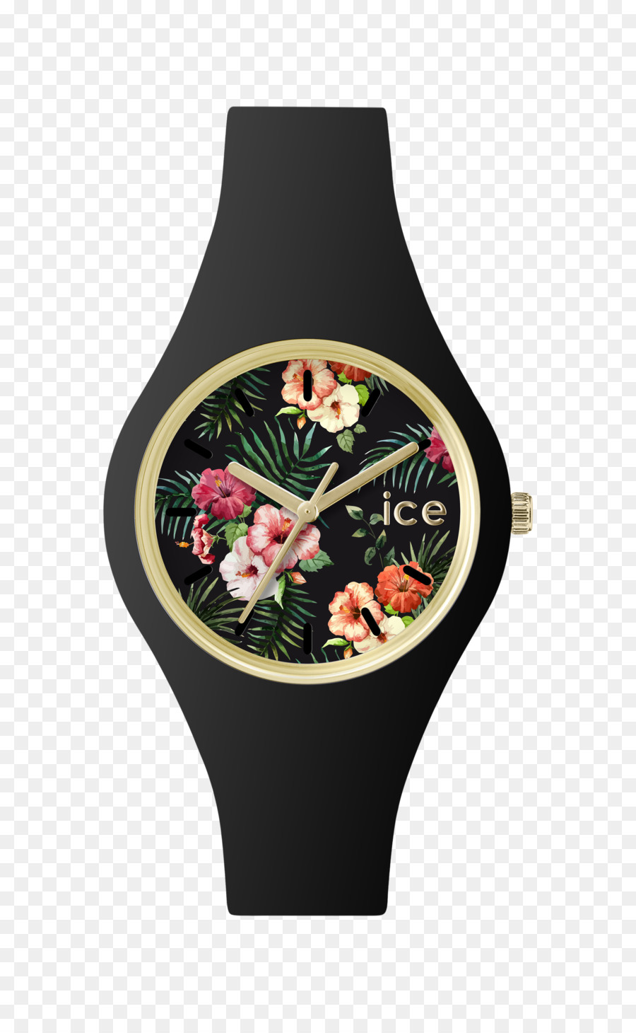 Ice Watch，Regarder PNG