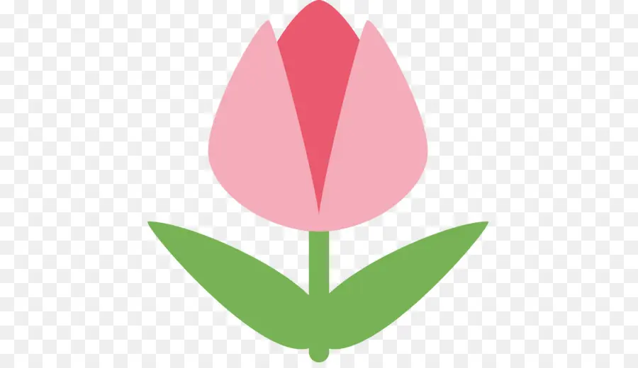 Tulipe Rose，Fleur PNG