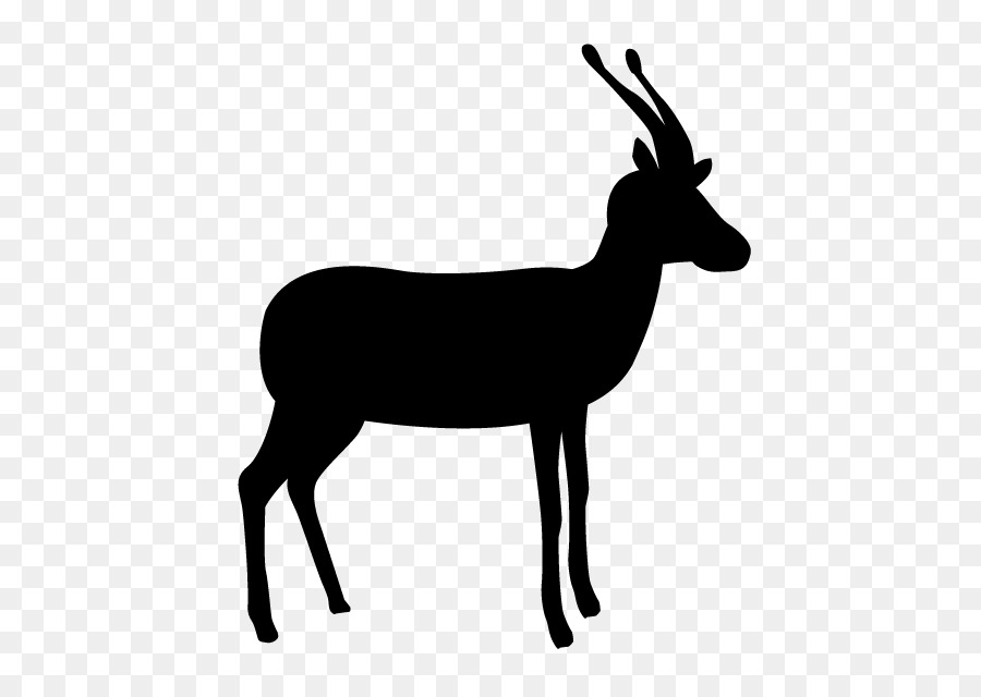 Gazelle，Silhouette PNG