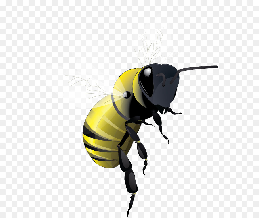 Abeille，Miel PNG