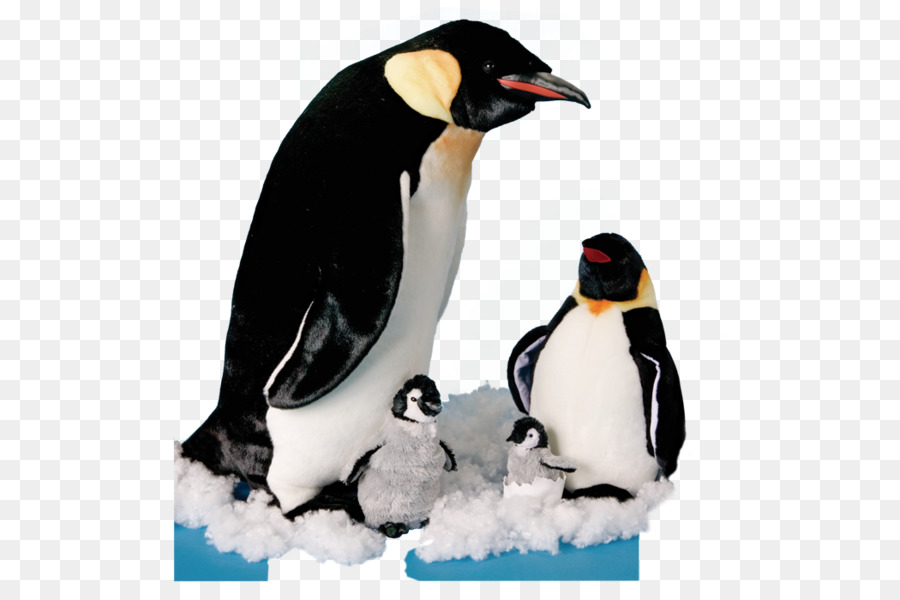 King Pingouin，Penguin Poussin PNG