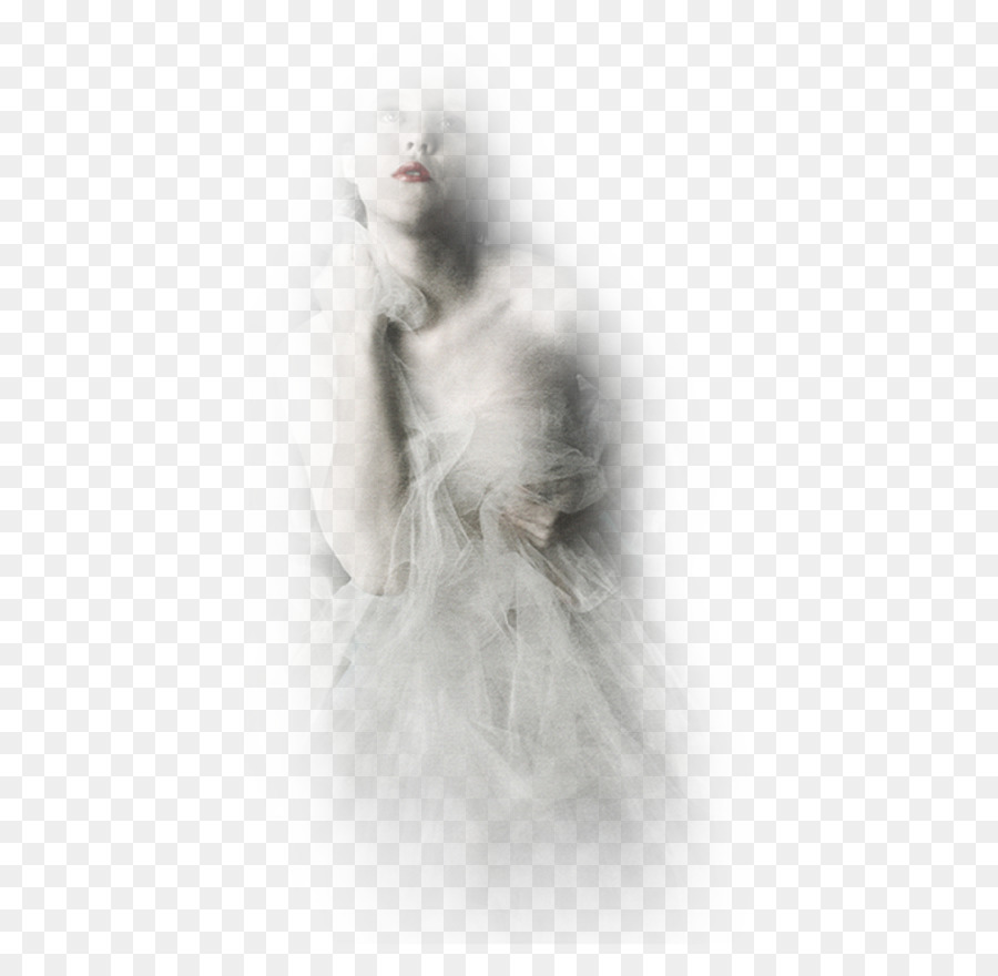 Fourrure，Blanc PNG