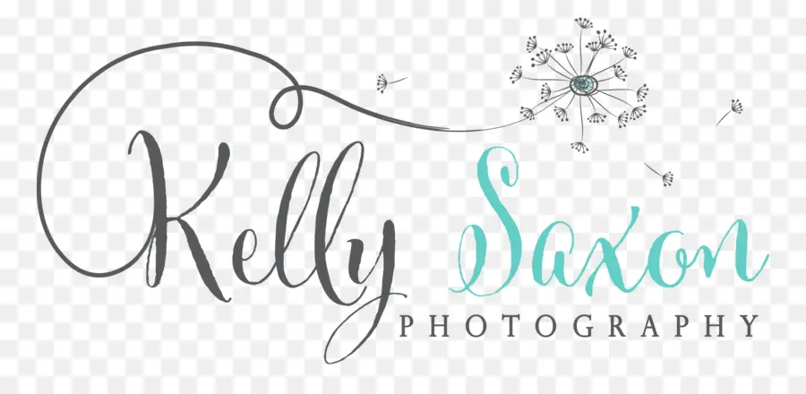 Kelly Saxon Photographie，Photographie PNG