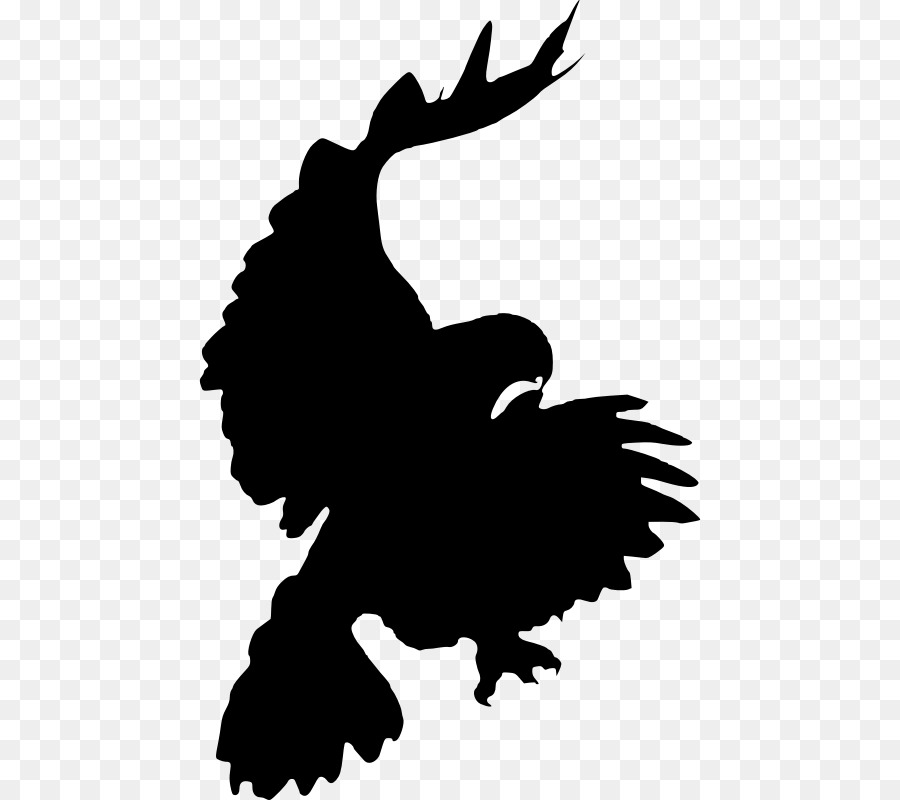 Aigle，Silhouette PNG