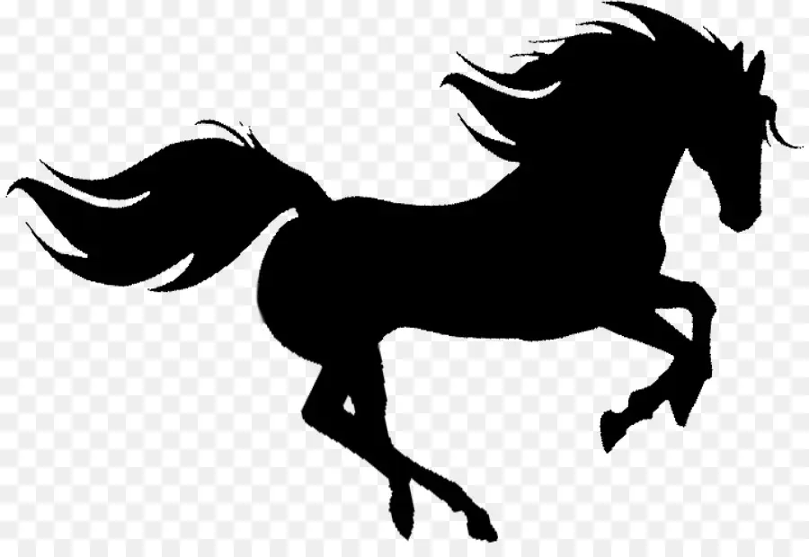 Mustang，Silhouette PNG