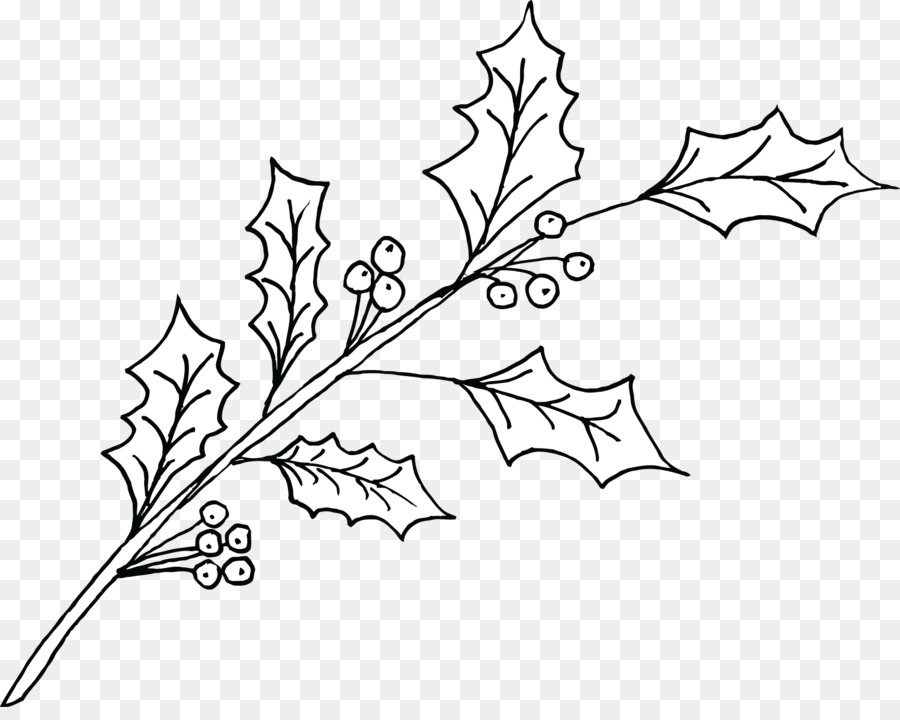 Branche De Houx，Feuilles PNG