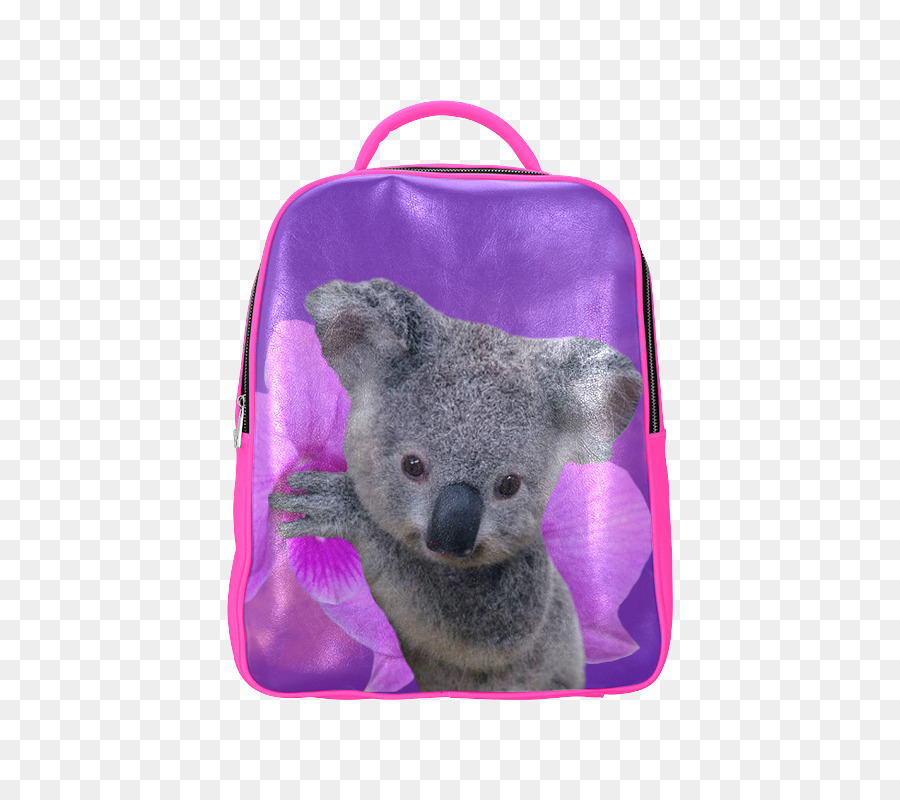 Koala，L Australie PNG