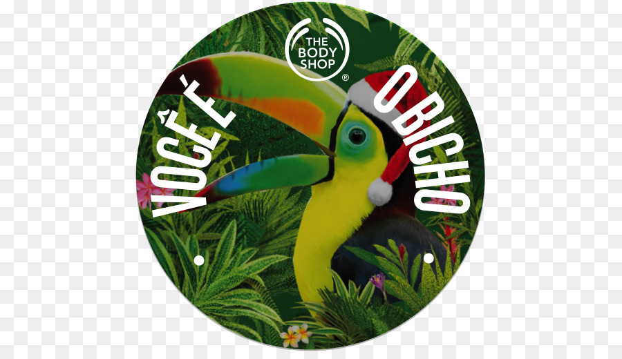 Body Shop，Bec PNG