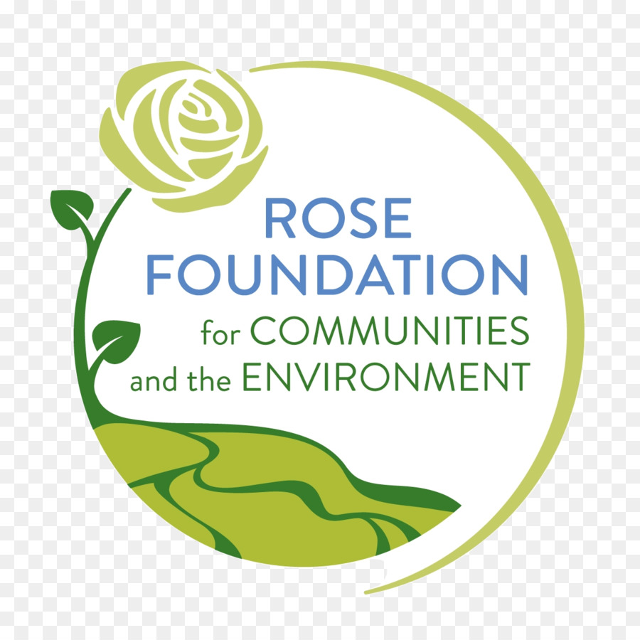 Fondation，Rose De La Fondation Pour Les Collectivités De L Environnement PNG