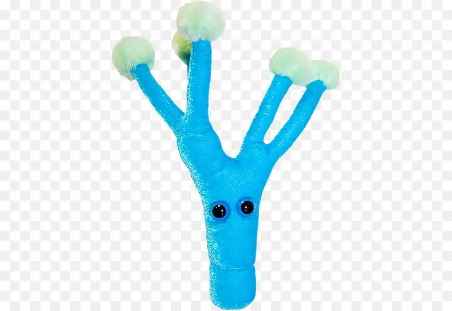 Peluche Bleue，Peluche PNG