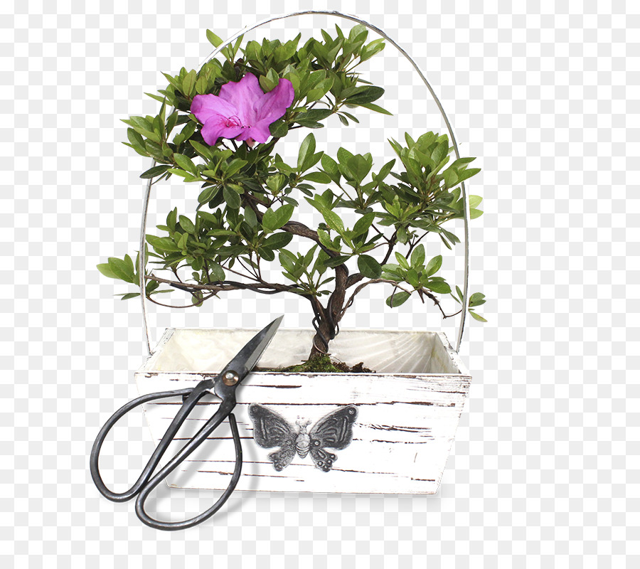 Les Fleurs Coupées，Flowerpot PNG