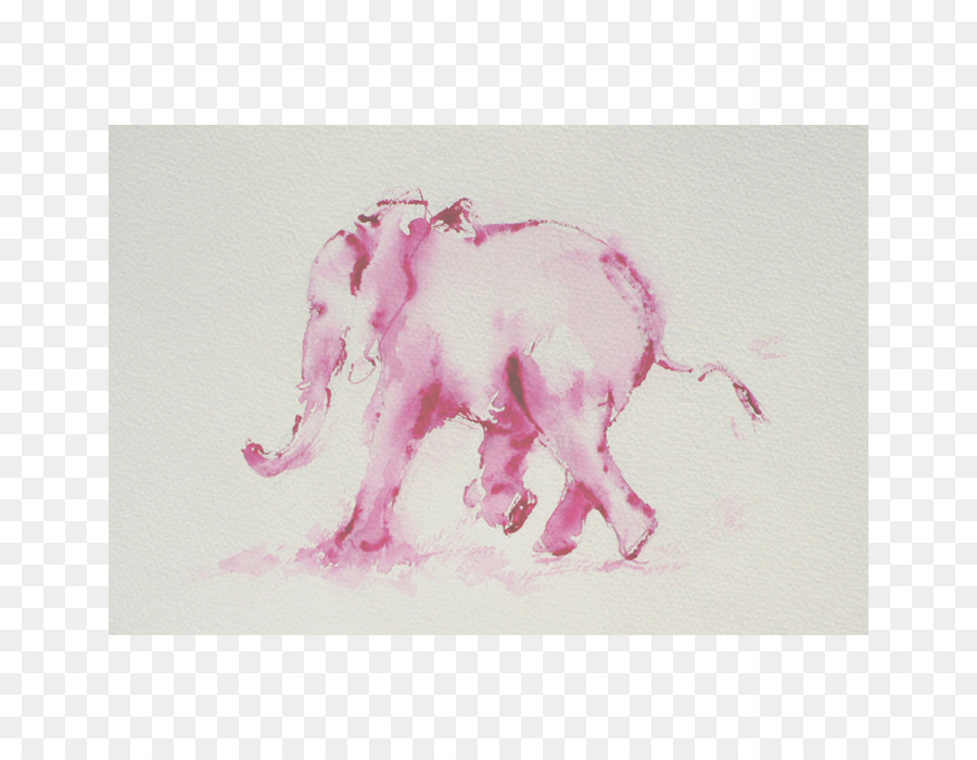 Éléphant Rose，Aquarelle PNG