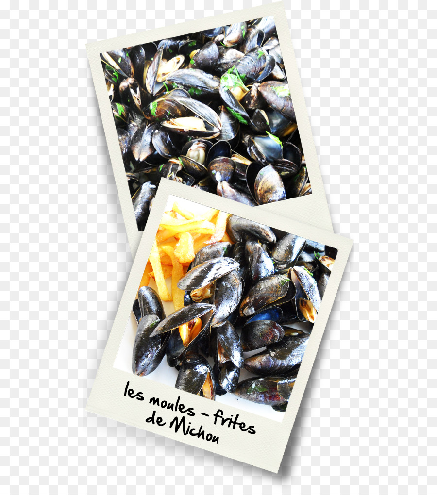 Moule，Moulesfrites PNG