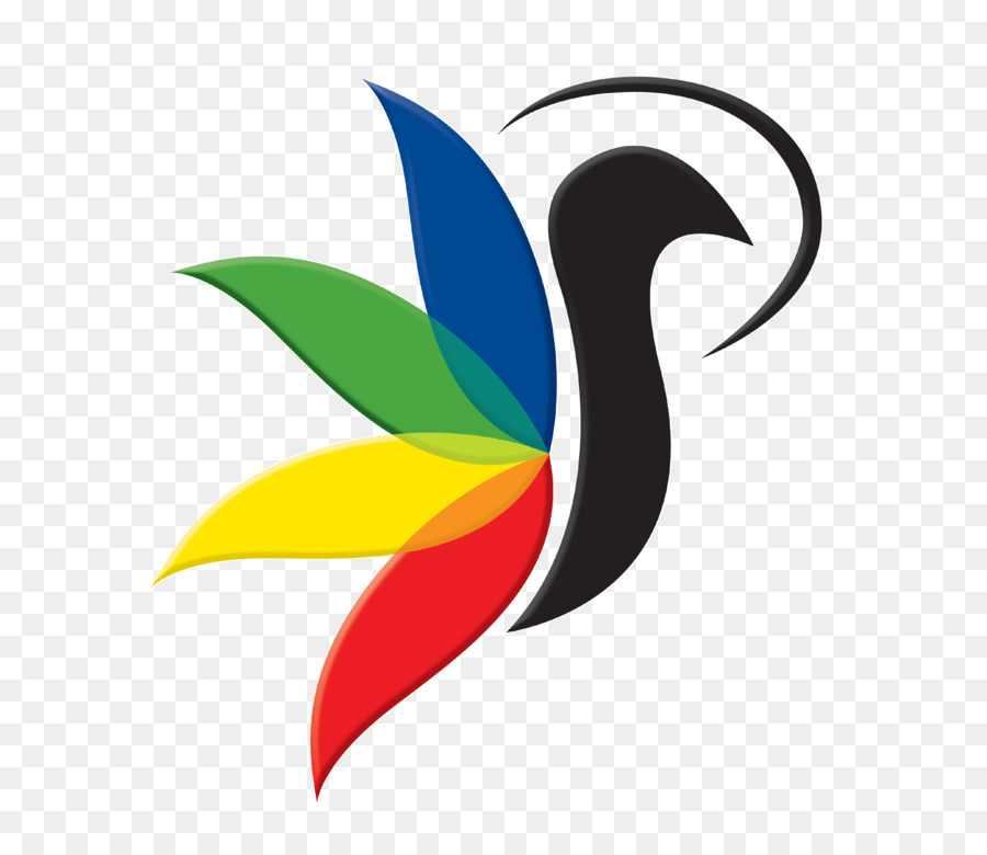 Oiseau Coloré，Vol PNG