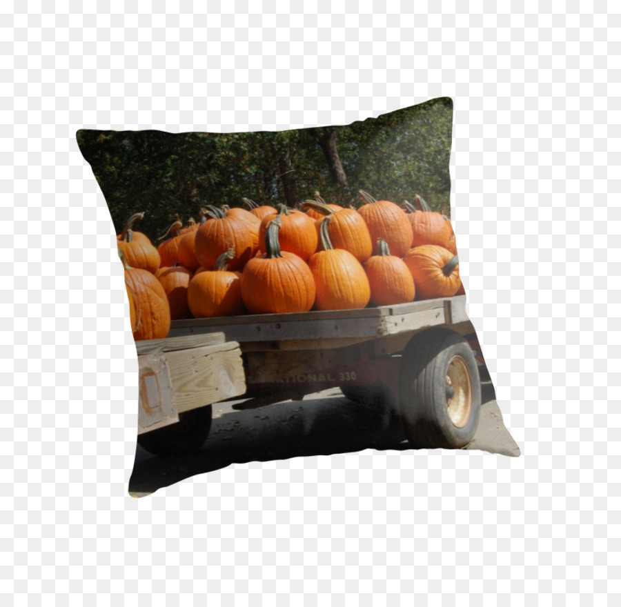 Les Coussins，Coussin PNG