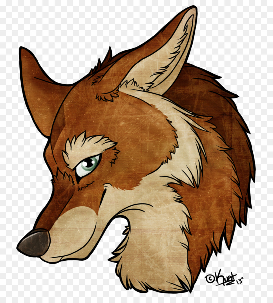 Renard Rouge，Museau PNG